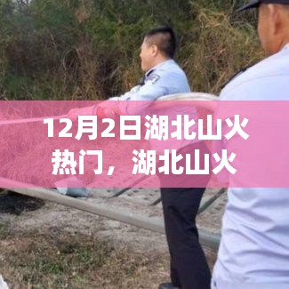 设计印刷 第370页