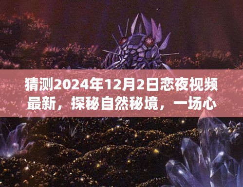 插翅难飞 第4页