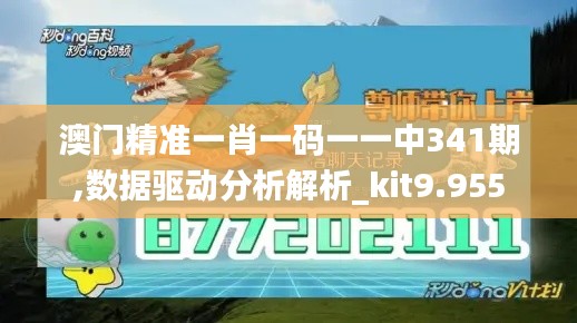 澳门精准一肖一码一一中341期,数据驱动分析解析_kit9.955