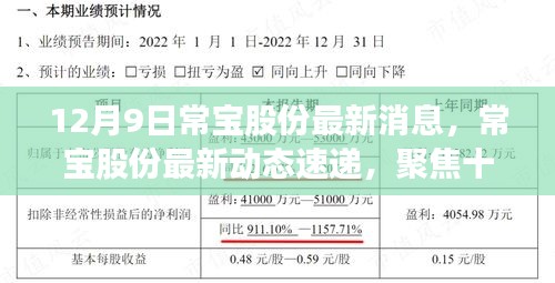常宝股份最新动态速递，聚焦十二月九日的重要更新消息