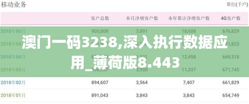 澳门一码3238,深入执行数据应用_薄荷版8.443