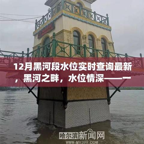 黑河水位实时更新，河畔情深，友情与陪伴的温馨故事