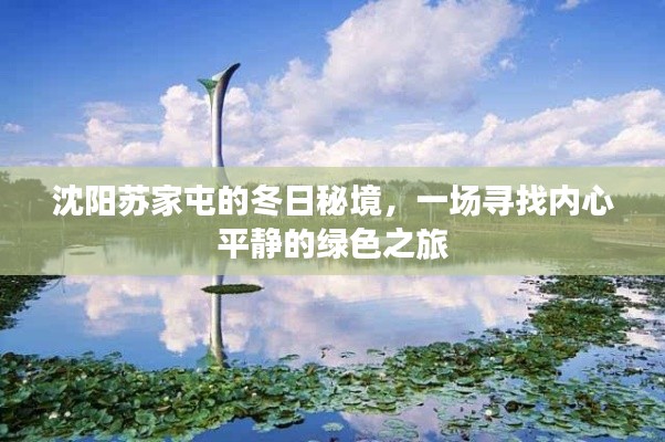 夸夸其谈 第3页