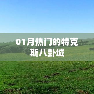 明目张胆 第2页