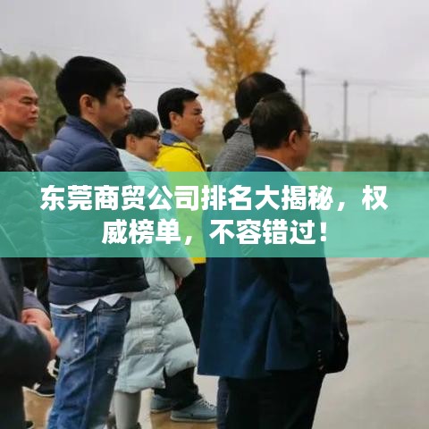 澹泊明志，宁静致远 第2页