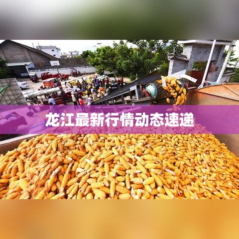 就楼磨刀 第2页