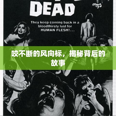 指李推张 第2页