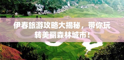 伊春旅游攻略大揭秘，带你玩转美丽森林城市！