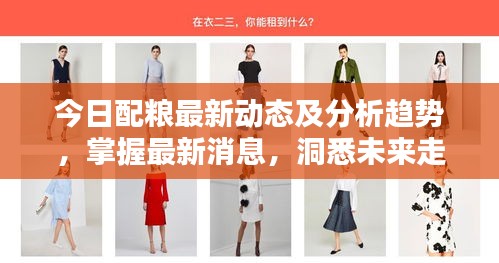 今日配粮最新动态及分析趋势，掌握最新消息，洞悉未来走向