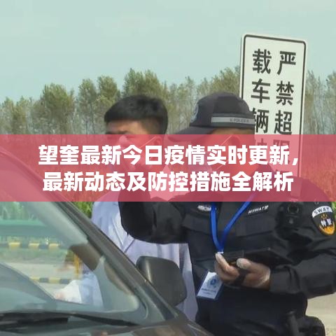 展翅高飞