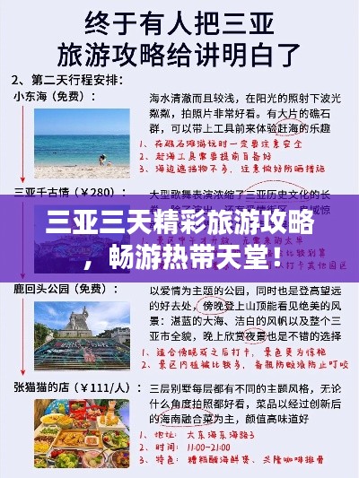 宣传册 第12页