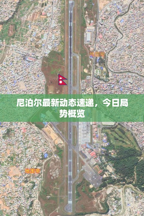 设计印刷 第10页