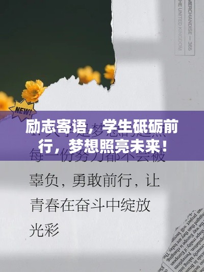 高人雅士