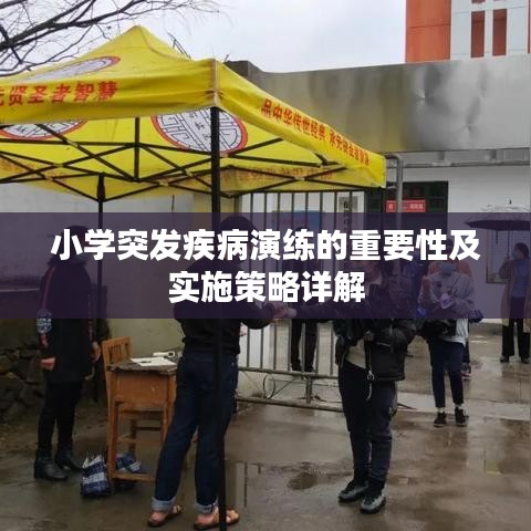 小学突发疾病演练的重要性及实施策略详解