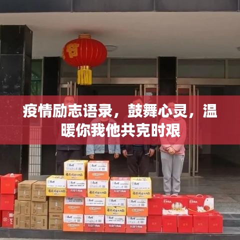 资料打印 第3页