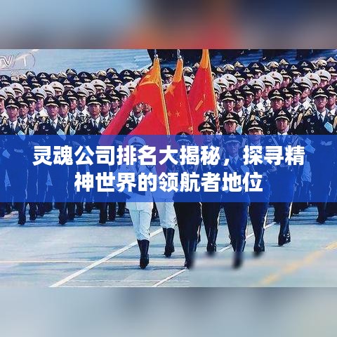 见缝就钻