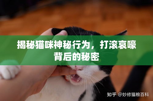 各就各位