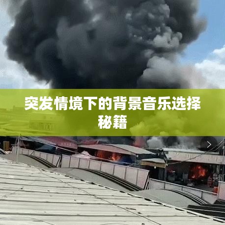 雍容尔雅