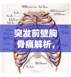 精益求精