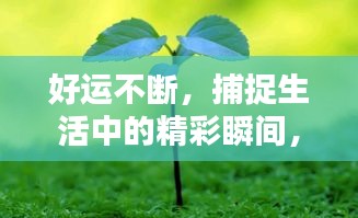 好运不断，捕捉生活中的精彩瞬间，留住美好回忆