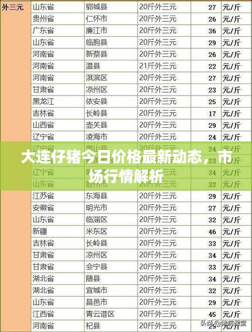 大连仔猪今日价格最新动态，市场行情解析
